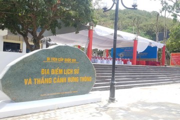 2020 年 7 月更新施工进度 - 松林历史遗迹和景观修造项目