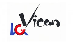 Vicem